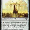 Cartas-magic-cartas-pokemon-coleccionables