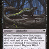 Cartas-magic-cartas-pokemon-coleccionables