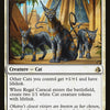 Cartas-magic-cartas-pokemon-coleccionables