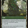Cartas-magic-cartas-pokemon-coleccionables