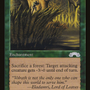 Elven Palisade [The List]