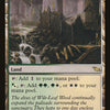 Wooded Bastion [Shadowmoor] - Español