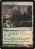 Wooded Bastion [Shadowmoor] - Español