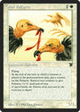 Osai Vultures [Legends]