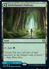 Barkchannel Pathway // Tidechannel Pathway [Kaldheim]