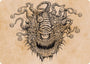 Baleful Beholder (Showcase) Art Card [Dungeons & Dragons: Adventures in the Forgotten Realms Art Series]