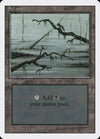 Swamp (300) [Revised Edition]