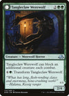 Tangleclaw Werewolf // Fibrous Entangler [Eldritch Moon]