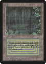 Bayou [Beta Edition]