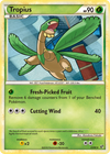 Cartas-magic-cartas-pokemon-coleccionables