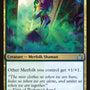 Merfolk Mistbinder [The List]