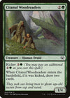 Citanul Woodreaders [Duel Decks: Nissa vs. Ob Nixilis] 
