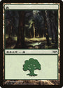 Forest - Innistrad Cycle [Magic Premiere Shop 2011]