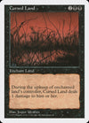 Cursed Land [Fifth Edition]