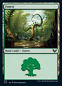 Forest (374) [Strixhaven: School of Mages]