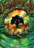 Forest Art Card (32/54) [Tarkir: Dragonstorm Art Series]