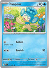 Panpour (017/086) [Scarlet & Violet: Black Bolt]