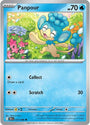 Panpour (017/086) [Scarlet & Violet: Black Bolt]