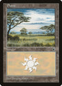 Plains (Yellow Flowers in Grass / Long Dark Cloud in Center) [Portal]