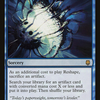 Reshape [The List]