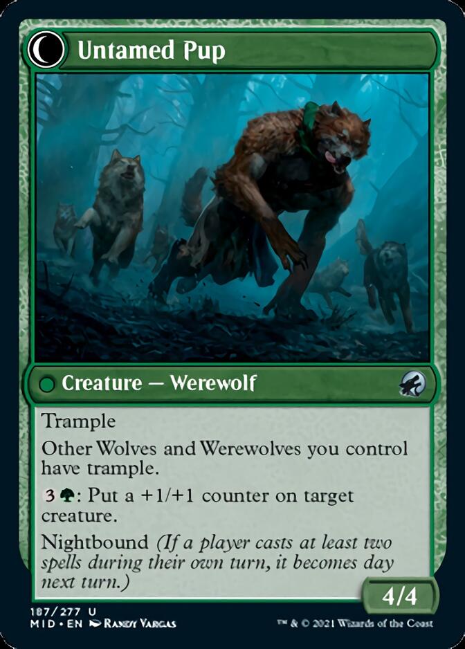 Hound Tamer // Untamed Pup [Innistrad: Midnight Hunt] 