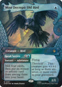 Most Decrepit Old Bird (Showcase) (Surge Foil) [The Hobbit]