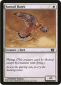 Suntail Hawk (Oversized) [Eighth Edition Box Topper]