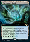 Vineglimmer Snarl (Extended Art) [Strixhaven: School of Mages]