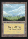 Plains (Trees on Plain / Signature on Right) [International Collectors' Edition]