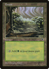 Forest (Sky Visible Top Right) [Tempest]