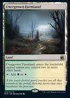 Overgrown Farmland [Innistrad: Midnight Hunt]