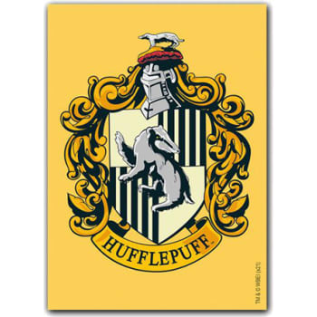 DRAGONSHIELD Brushed Wizarding World Ravenclaw