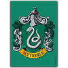 DRAGONSHIELD Brushed Wizarding World Slytherin