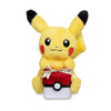 Pikachu With Gift Box Plush