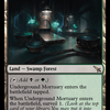 Underground Mortuary [Murders at Karlov Manor]