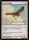 Suntail Hawk [Tenth Edition]
