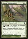 Citanul Woodreaders [Modern Masters] 