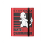 Carpeta UltraPro – Pokémon – Charmander - 360 Cartas