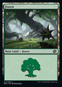 Forest (277) [The Brothers' War]