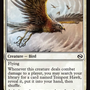 Tempest Hawk [Tarkir: Dragonstorm]