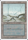 Swamp (White Fog in Trees) [Fourth Edition]