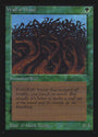 Wall of Wood [International Collectors' Edition]