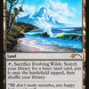 Evolving Wilds [Secret Lair Drop Series]