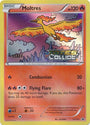 Moltres (XY127) (Staff) [XY: Black Star Promos]