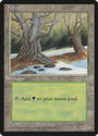 Forest (382) [Ice Age] 