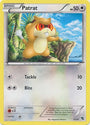 Patrat (12/30) [Black & White: Trainer Kit - Zoroark]