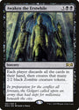 Awaken the Firstwhile [Ravnica Allegiance] 
