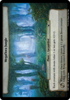 Cartas-magic-cartas-pokemon-coleccionables