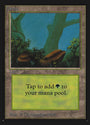 Forest (300) [Collectors' Edition] 