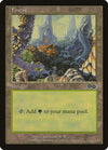 Forest (349) [Urza's Saga]